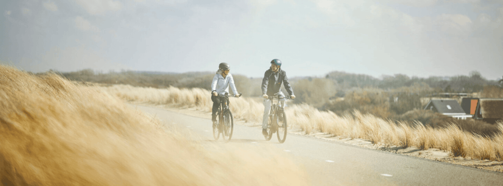 Ergon Bike Grips